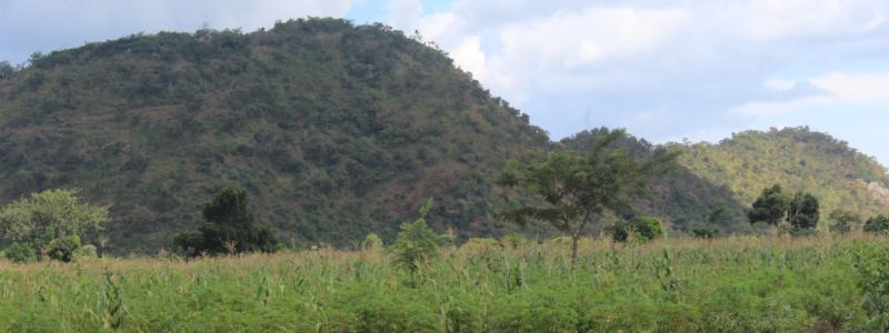 Kiryandongo District Local Government
